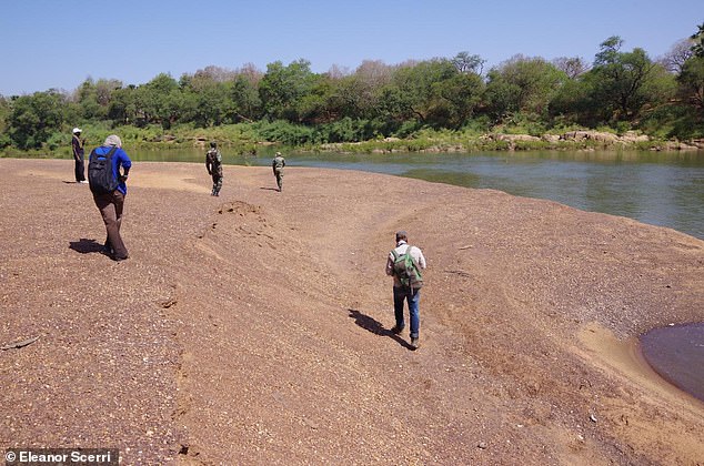 Field walking team along the Gambia River, Senegal.  The team doesn't know exactly why Stone Age West Africans took longer to adopt new tools, but they speculate that it could be due to geographical isolation.