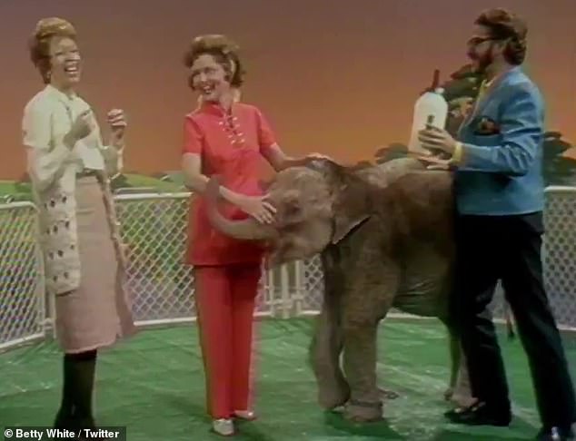 Feeding time: White feed a baby elephant with fellow comedian Carol Burnett, 87, in one clip