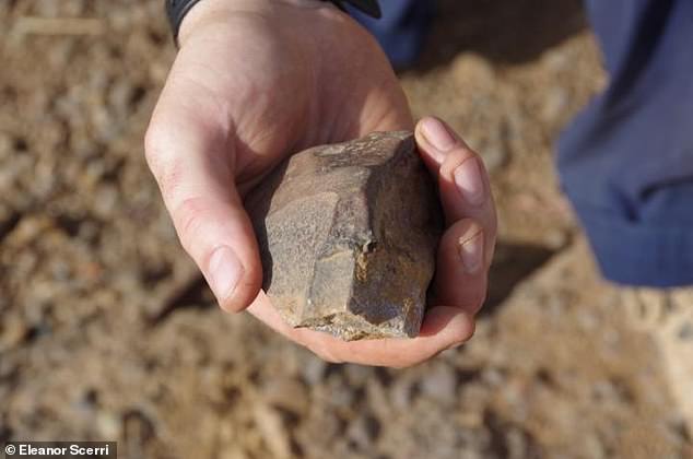 New discoveries at sites in Senegal on the west coast of Africa, by researchers from the Max Planck Institute, fuel a rethink of the passage of human evolution.