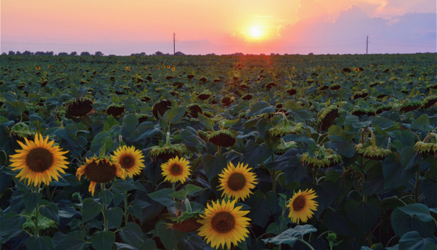 Реформа українських сільськогосподарських угідь матиме глобальне значення