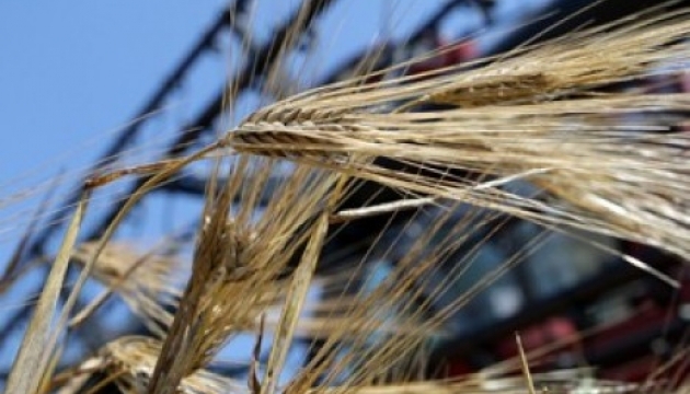 Українські фермери зібрали 1,4 млн тонн зерна з нового врожаю