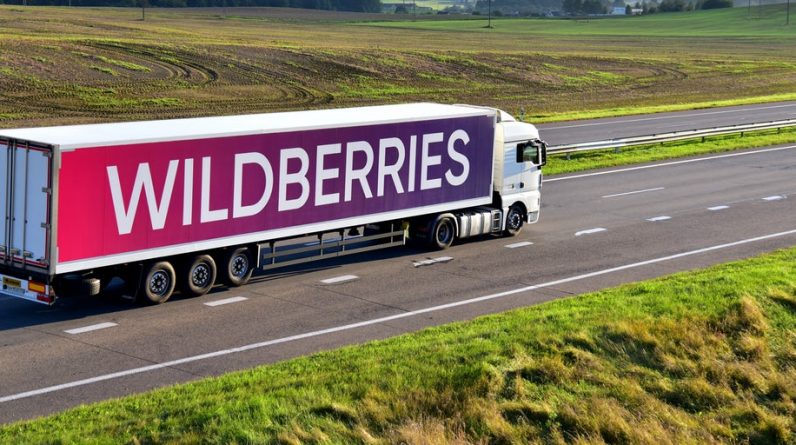 Російська компанія Wildberries заявляє, що санкції проти України завдадуть шкоди підприємцям, а не компанії