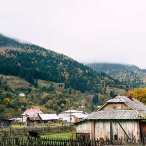 Земельна реформа в Україні: успіх досяжний, але Раді потрібні дії