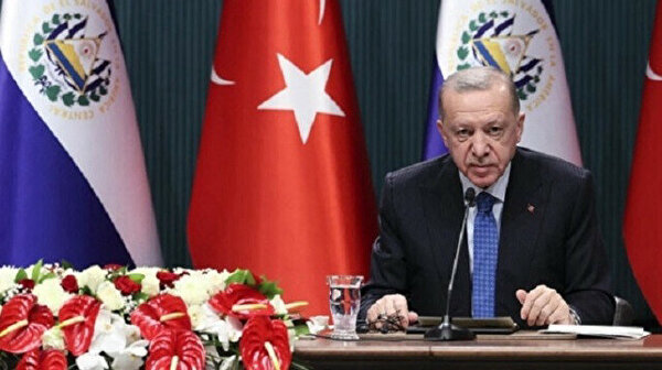 Щодо російсько-української напруги президент Ердоган заявив, що Туреччина хоче миру в регіоні