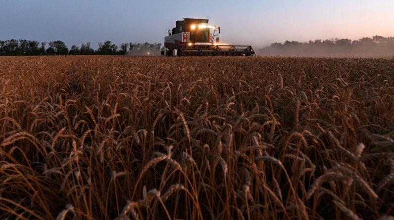 Зерно збільшується на тлі занепокоєння пропозиції щодо України