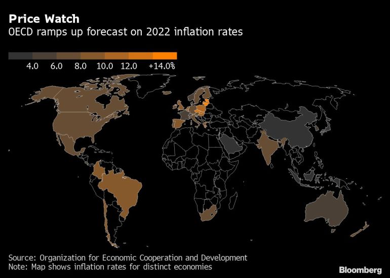 Організація економічного співробітництва та розвитку посилює прогнози щодо інфляції у 2022 році
