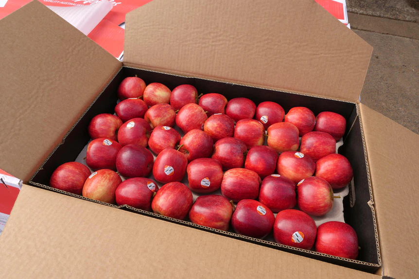 коробка червоного яблука 