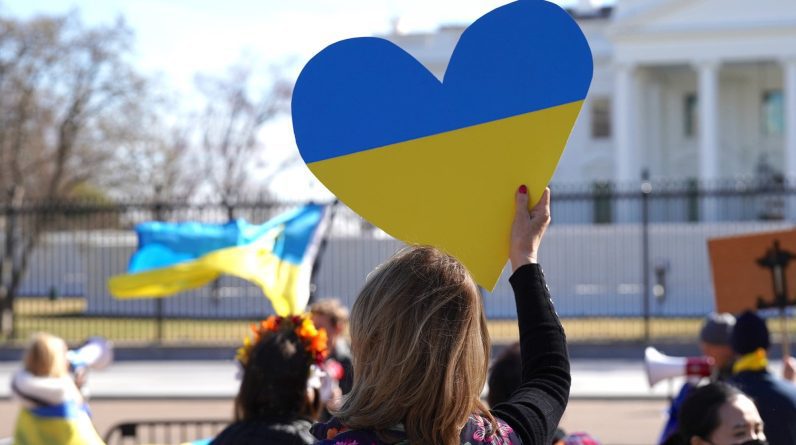 Що ми можемо дізнатися про співпрацю з війни в Україні