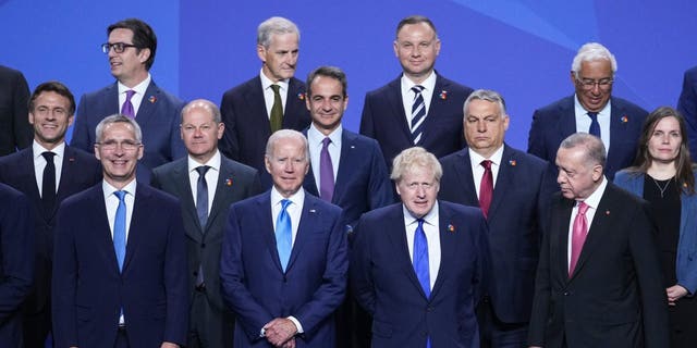 Генеральний секретар НАТО Єнс Столтенберг та члени.