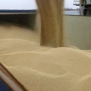 Україна експортувала до Африки понад 1 млн тонн пшениці у грудні 2022 року